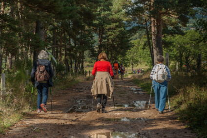 Große Wanderung auf dem Kaiserstuhlpfad